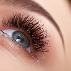 Eyelash Extensions in Ocala, Florida Eyelash Extensions in Ocala, Florida